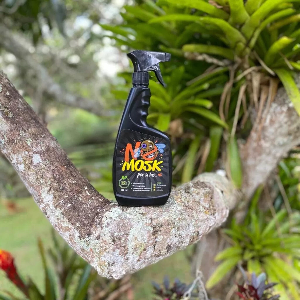 Imagen #1 de Luisa M