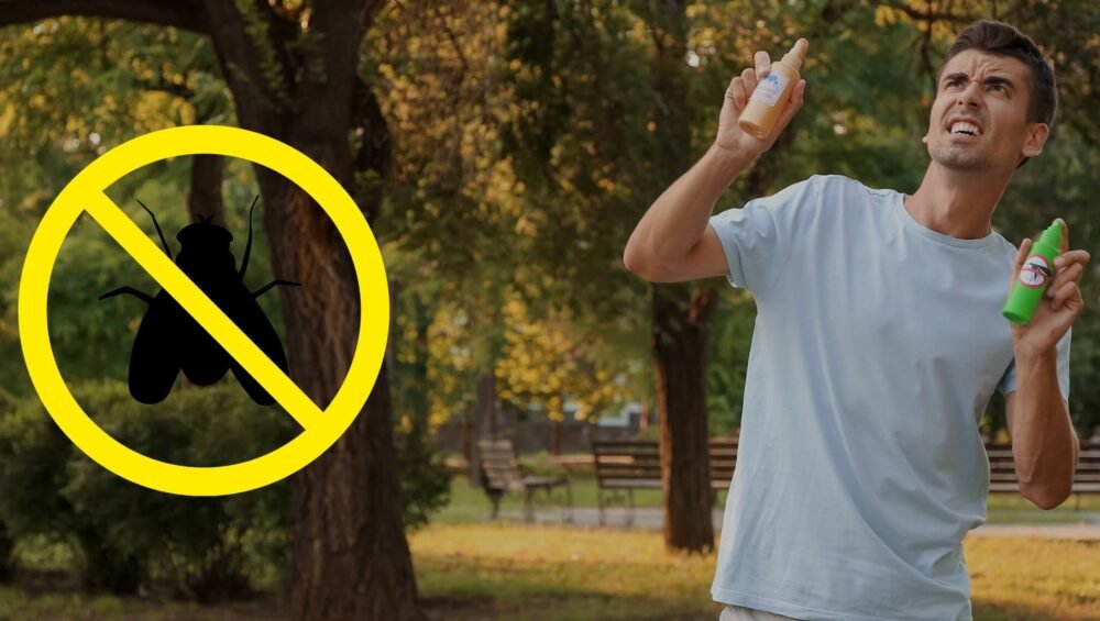 Cómo ahuyentar moscas